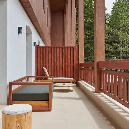 Swissotel Uludag 5*
