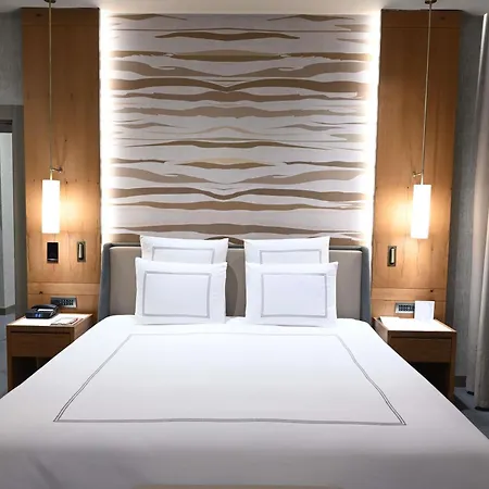 Swissotel Uludag 酒店 5*
