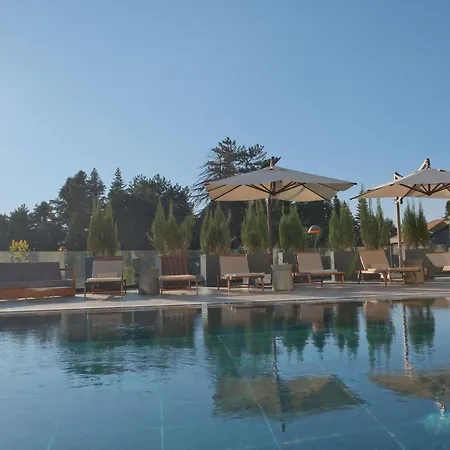 Swissotel Uludag 伯萨