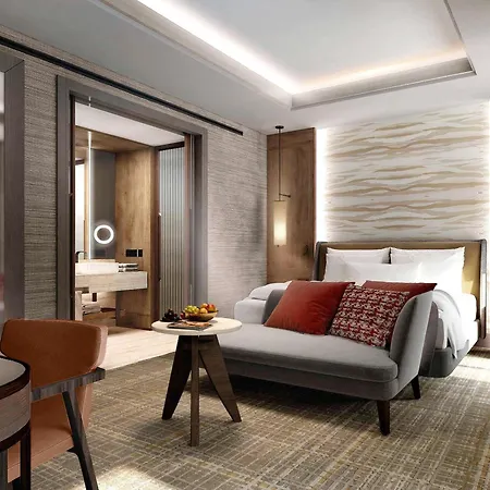 酒店 Swissotel Uludag 5*