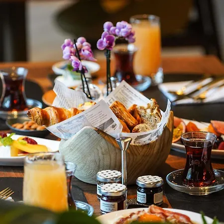 Swissotel Uludag 酒店