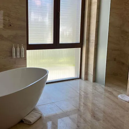 ホテル Swissotel Uludag 5*