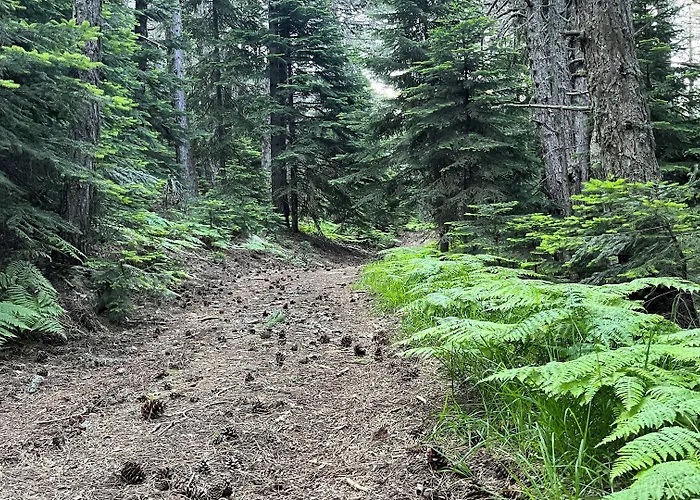 Swissotel Uludag Hotell Bursa