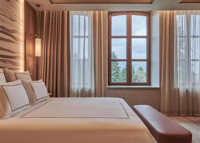 Swissotel Uludag 5*