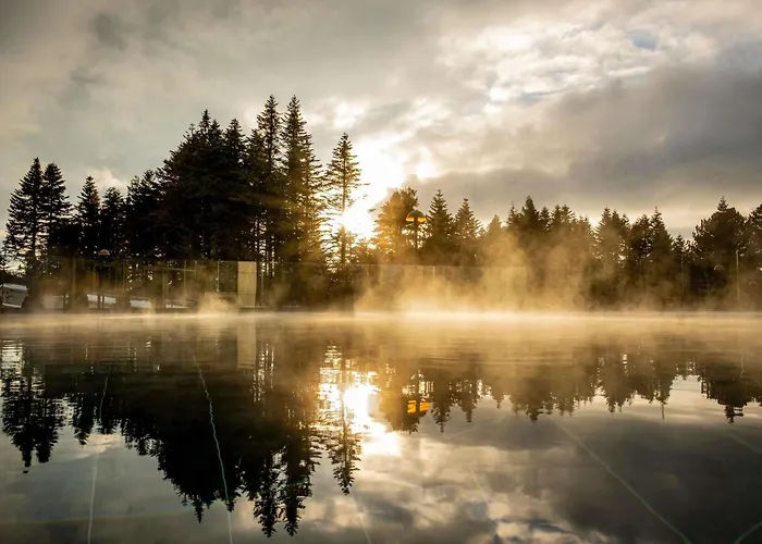 Hotell Swissotel Uludag 5*